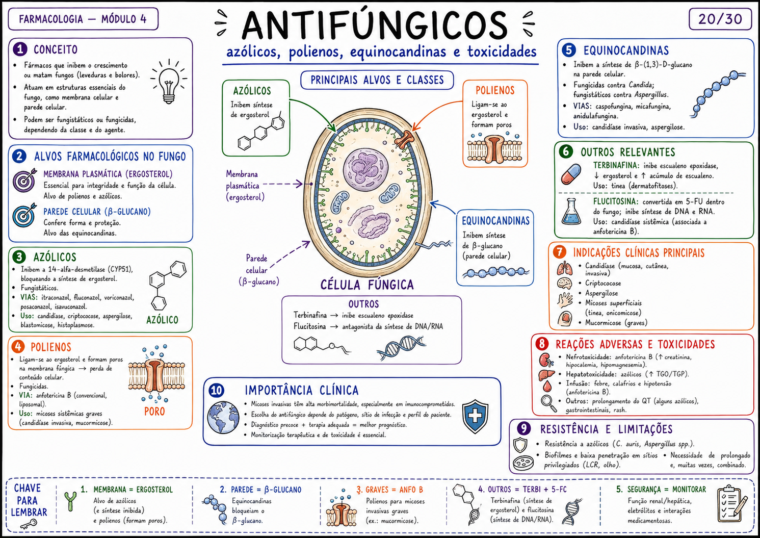 Mapa mental farmacologia